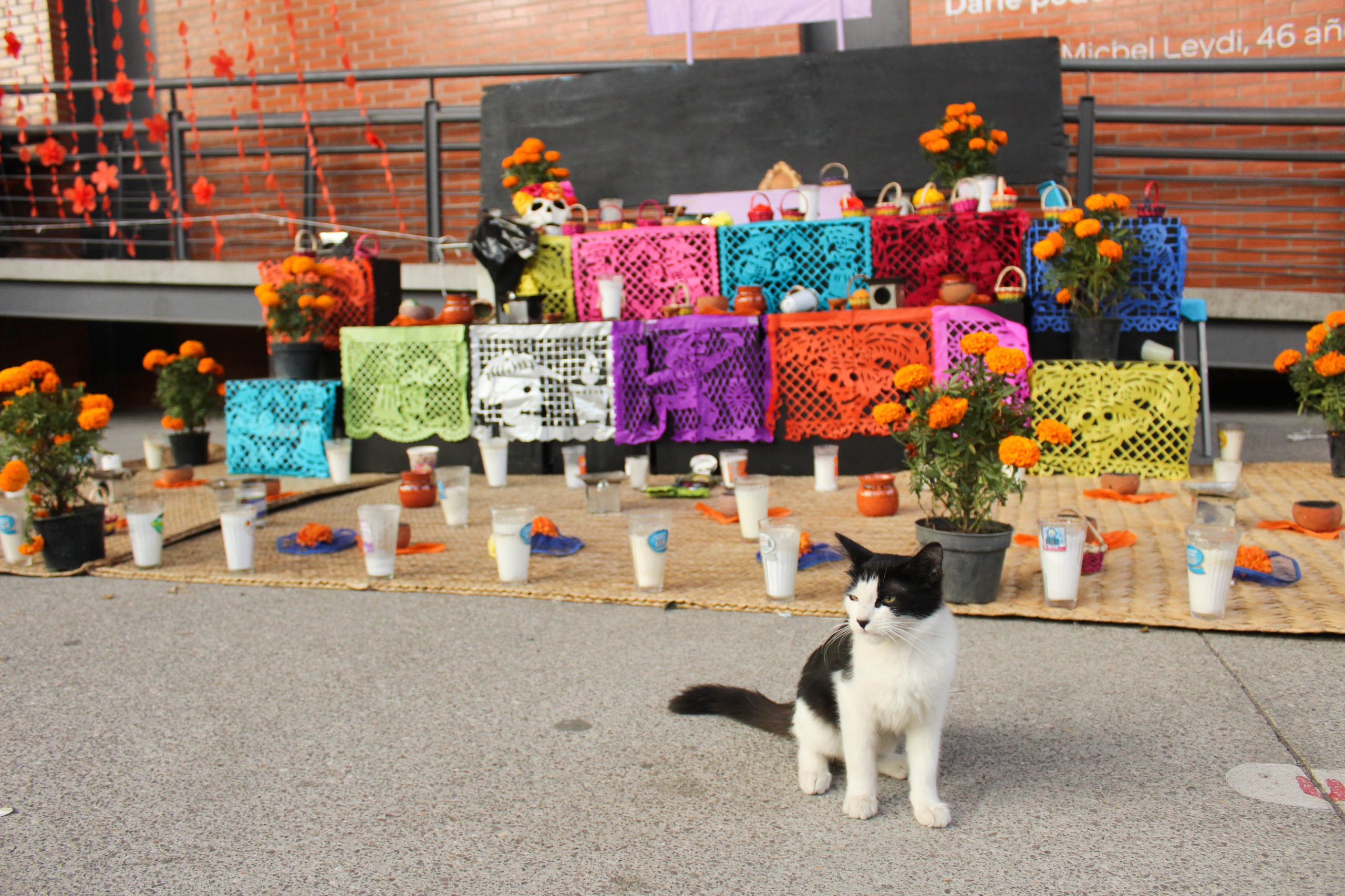 Noches de Museos - Radio Utopix